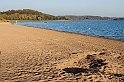 IMG_4235