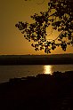 IMG_4259